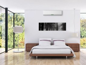 Obraz - Las we mgle (170x50 cm)