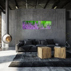 Obraz fioletowych kwiatów polnych (170x50 cm)