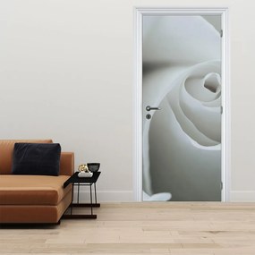 Fototapeta na drzwi - Biała róża (95x205cm)