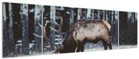 Obraz - jeleń zimą (170x50 cm)