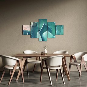 Obraz - Sukulent (125x70 cm)