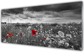 Panel Szklany Sielska Polana Kwiatowa