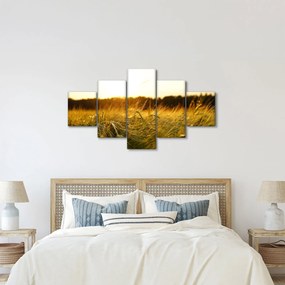 Obraz zroszonej trawy (125x70 cm)
