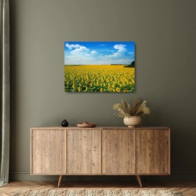 Obraz na szkle - ciąg słoneczników (70x50 cm)