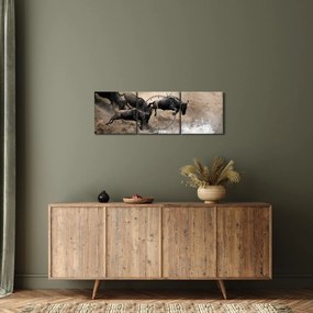 Obraz - Stado antylop gnu (z zegarem) (90x30 cm)