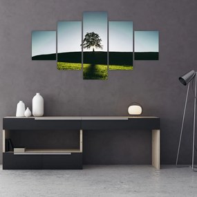 Obraz natury - drzewo (125x70 cm)
