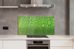 Szklany Panel Makro Detal Liścia z Rosą