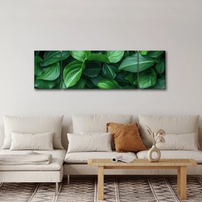 Obraz - Zielone liście (170x50 cm)