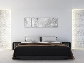 Obraz - Trawa pampasowa N⁰1 (170x50 cm)