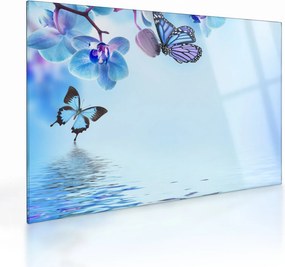 Obraz na szkle - Motyl na kwiatach orchidei, niebieski (70x50 cm)