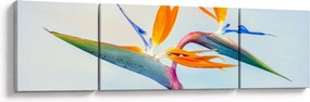 Obraz kwiatu Strelicji (170x50 cm)