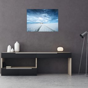 Obraz pola (70x50 cm)