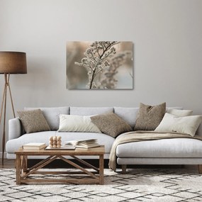 Obraz na szkle - Roślina w mrozie (70x50 cm)