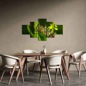 Obraz owada (125x70 cm)