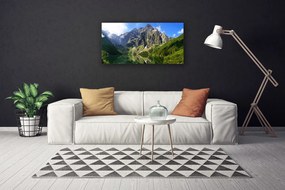 Obraz Canvas Tatry Góry Morskie Oko Las