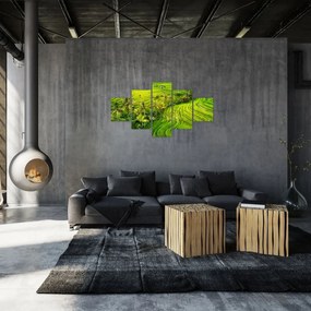 Obraz - Pola ryżowe (125x70 cm)