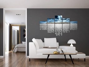 Obraz pola (125x70 cm)