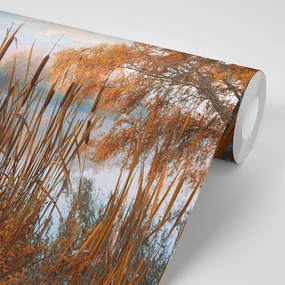 Fototapeta jezioro w środku jesiennej przyrody