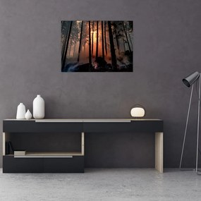 Obraz na szkle - ciemny las (70x50 cm)