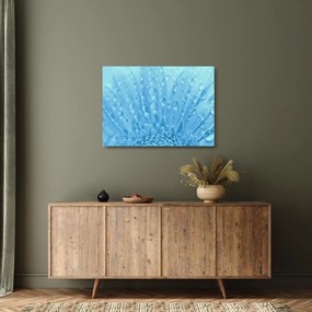 Obraz na szkle - Ujęcie makro kwiatu (70x50 cm)