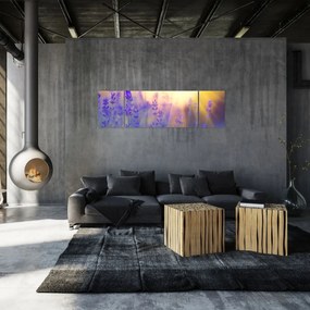 Obraz - Lawenda (170x50 cm)