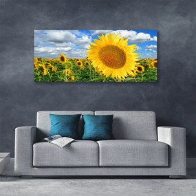 Duży obraz na płótnie Złoty Słonecznik pod Niebem