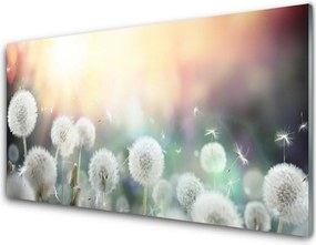 Szkło Dekoracyjne do Kuchni Lekkość Polnych Dmuchawców