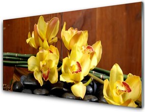 Panel Szklany Fioletowa Orchidea w Detalu