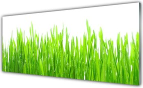 Szkło Dekoracyjne do Kuchni Naturalna Świeżość Trawy