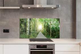 Szklany Panel Droga przez Las Brzozowy