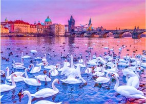 Obraz na szkle - Praga (70x50 cm)