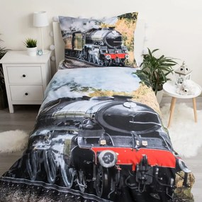 Bawełniana pościel dziecięca jednoosobowa 140x200 cm Train – Jerry Fabrics