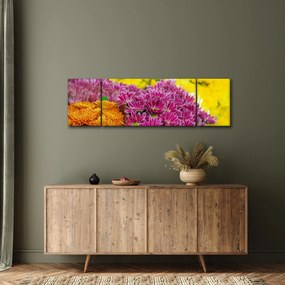 Obraz różowego kwiatu (170x50 cm)