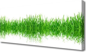 Obraz canvas Naturalny Dywan Zieleni
