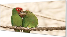 Panel szklany do Kuchni Stado Zielonych Papug