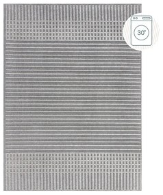 Szary dywan z szenilu odpowiedni do prania 200x320 cm Elton – Flair Rugs