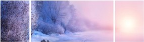 Obraz - Zamarznięta rzeka (170x50 cm)