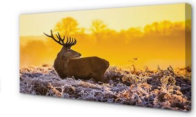 Duży obraz na płótnie Jeleń o Zimowym Wschodzie Słońca