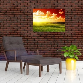 Obraz łąki ze świecącym słońcem (70x50 cm)