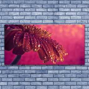 Zdjęcie na płótnie Majestatyczne Drzewo w Polu