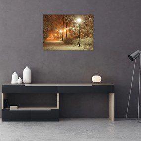 Obraz na szkle - Zaśnieżony park (70x50 cm)