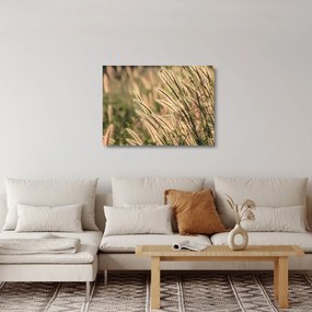 Obraz na szkle - Ziarno (70x50 cm)