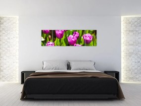 Obraz tulipanów na łące (170x50 cm)
