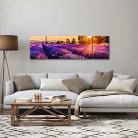 Obraz lawendowego pola (170x50 cm)