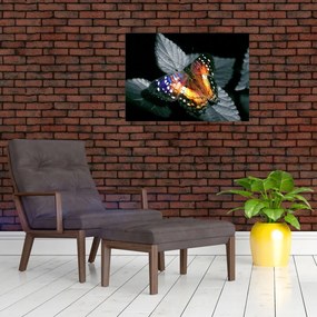 Obraz na szkle motyla (70x50 cm)