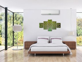 Obraz - Paw (125x70 cm)