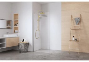 Zestaw prysznicowy ze stali nierdzewnej w kolorze matowego złota 101 cm Young Line – Wenko