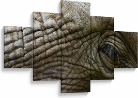 Obraz - Zbliżenie na stare oko słonia (125x70 cm)