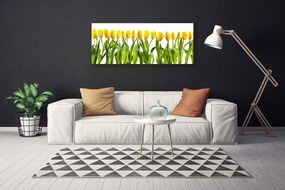 Obraz Canvas Tulipany Kwiaty Natura