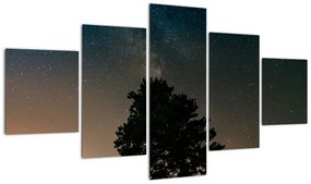 Obraz nocnego nieba z drzewami (125x70 cm)